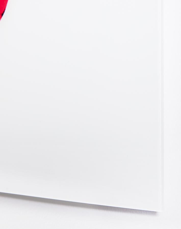 Artshoppe Ruby on Acrylic by Nathan Turner