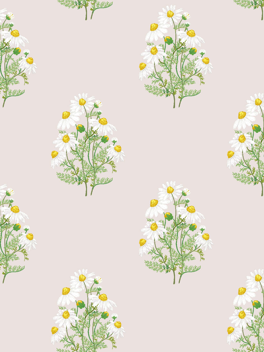 fleur-de-camomille-wallpaper-by-sarah-jessica-parker-oyster