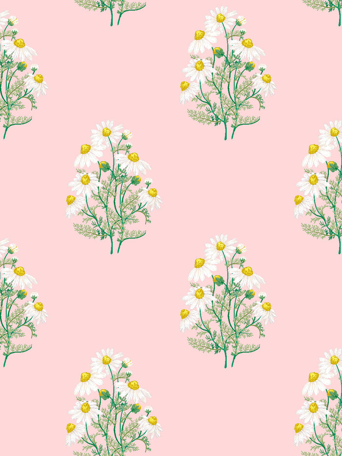 'Fleur De Camomille' Wallpaper by Sarah Jessica Parker - Slipper