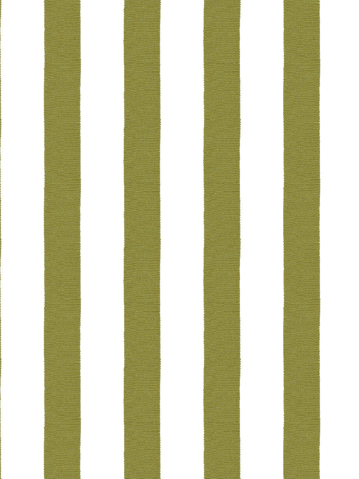 'Grosgrain Stripe on White' Wallpaper by Sarah Jessica Parker - Olive