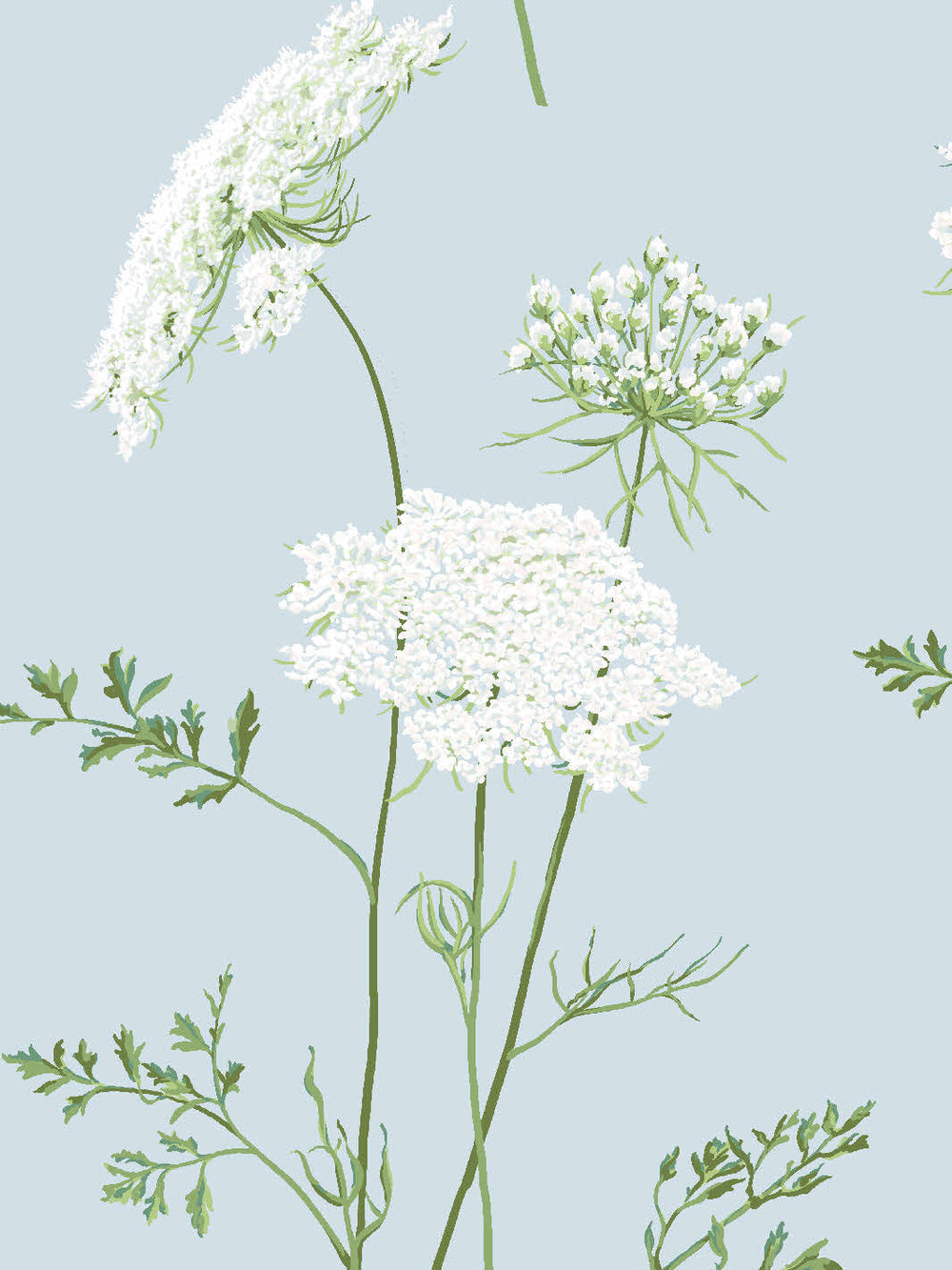 the-queens-lace-wallpaper-by-sarah-jessica-parker-misty-blue