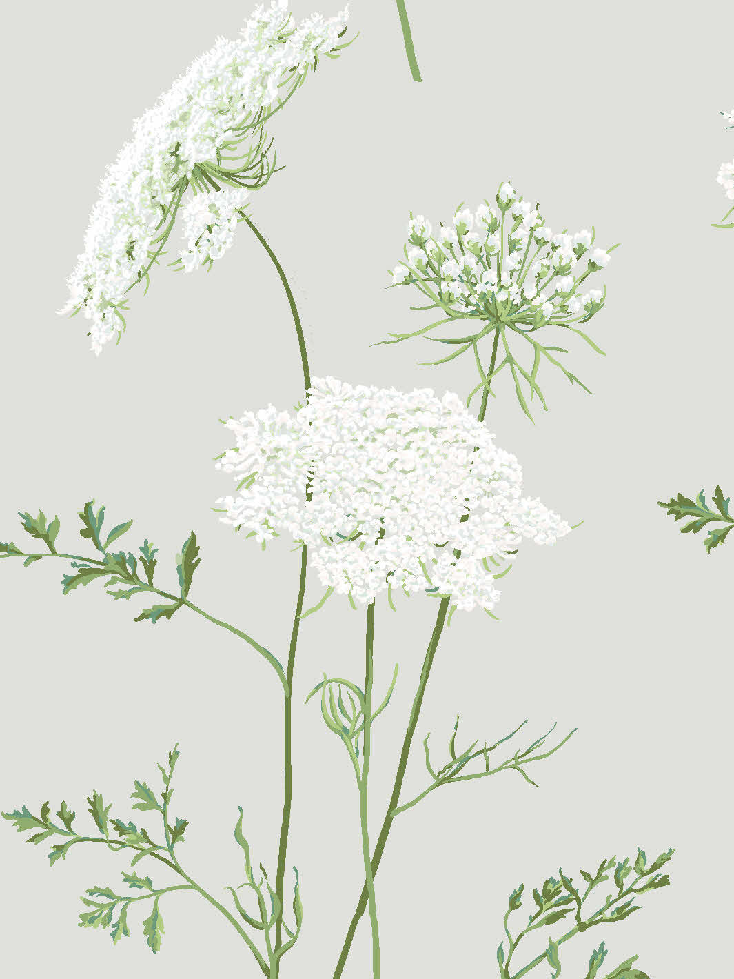 the-queens-lace-wallpaper-by-sarah-jessica-parker-silver
