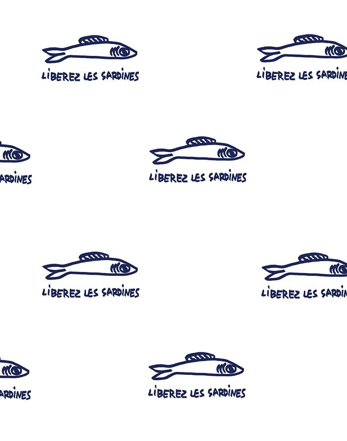 sardines-navy