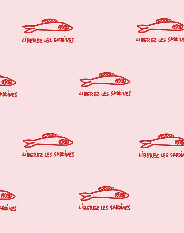 sardines-shell