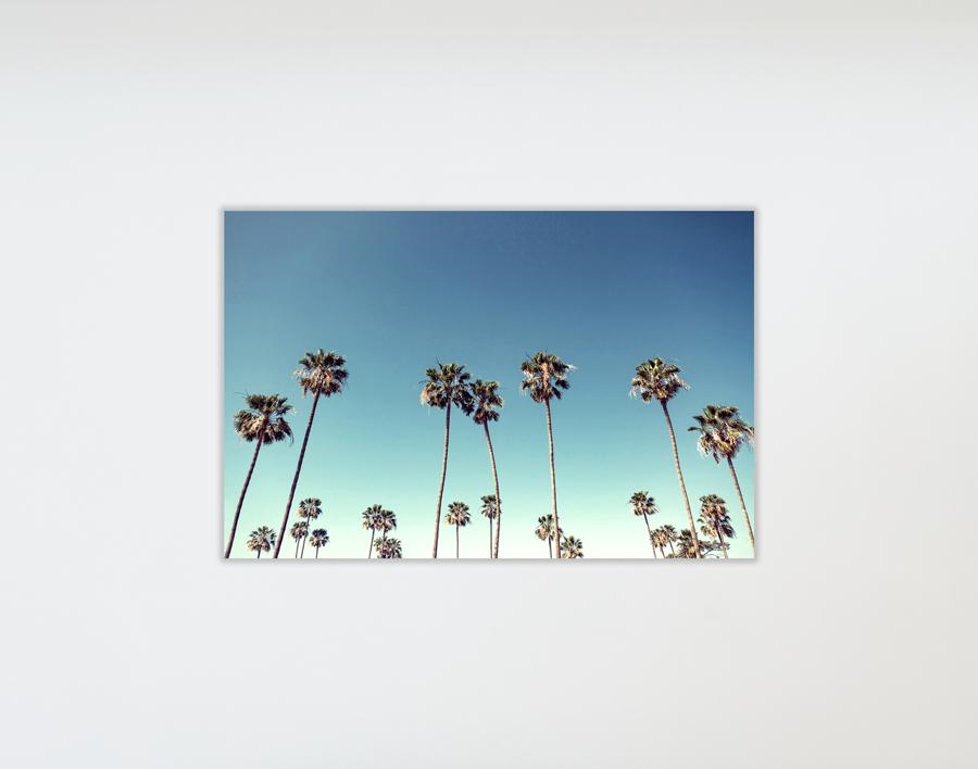 Artshoppe Sunset Blvd on Acrylic by Nathan Turner