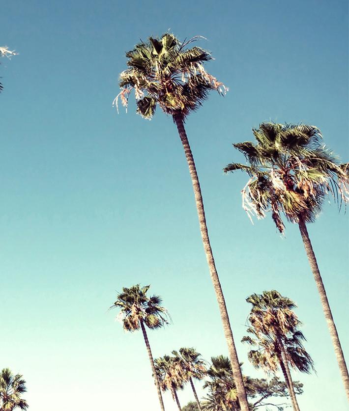 Artshoppe Sunset Blvd on Acrylic by Nathan Turner