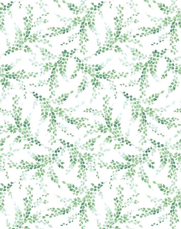 sweet-caroline-green