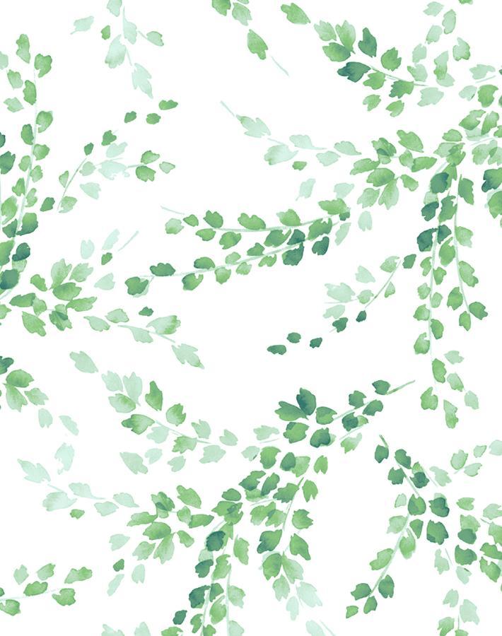 sweet-caroline-green