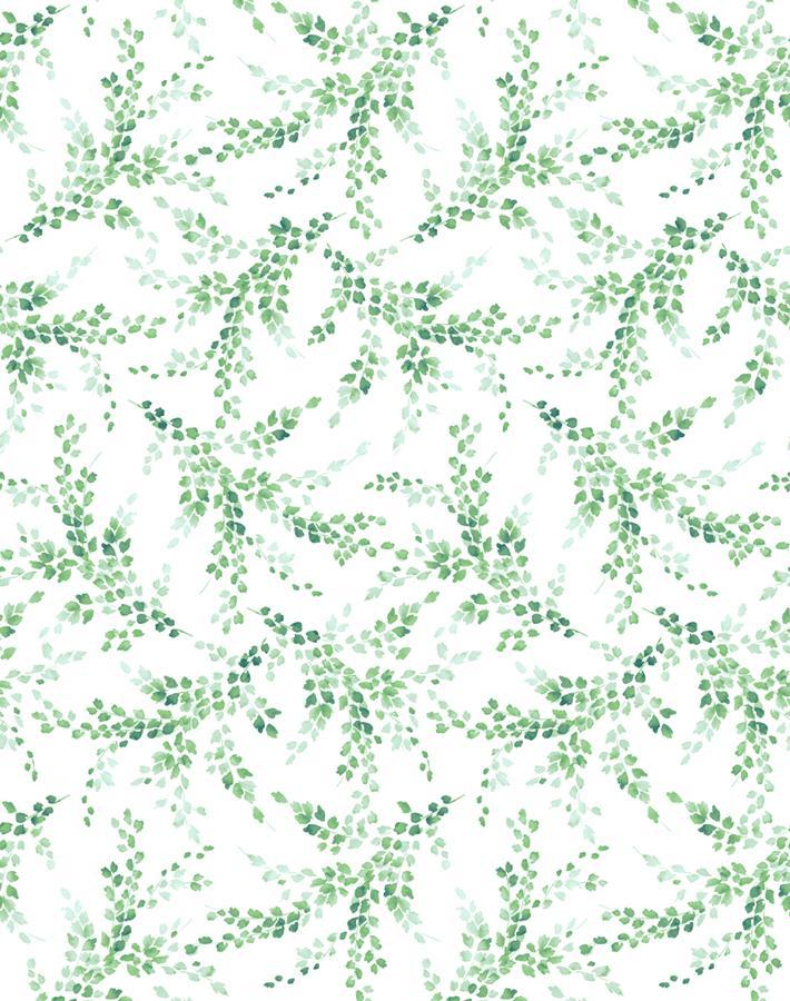 sweet-caroline-green