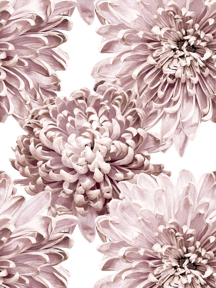 the-mums-wallpaper-by-sarah-jessica-parker-powder