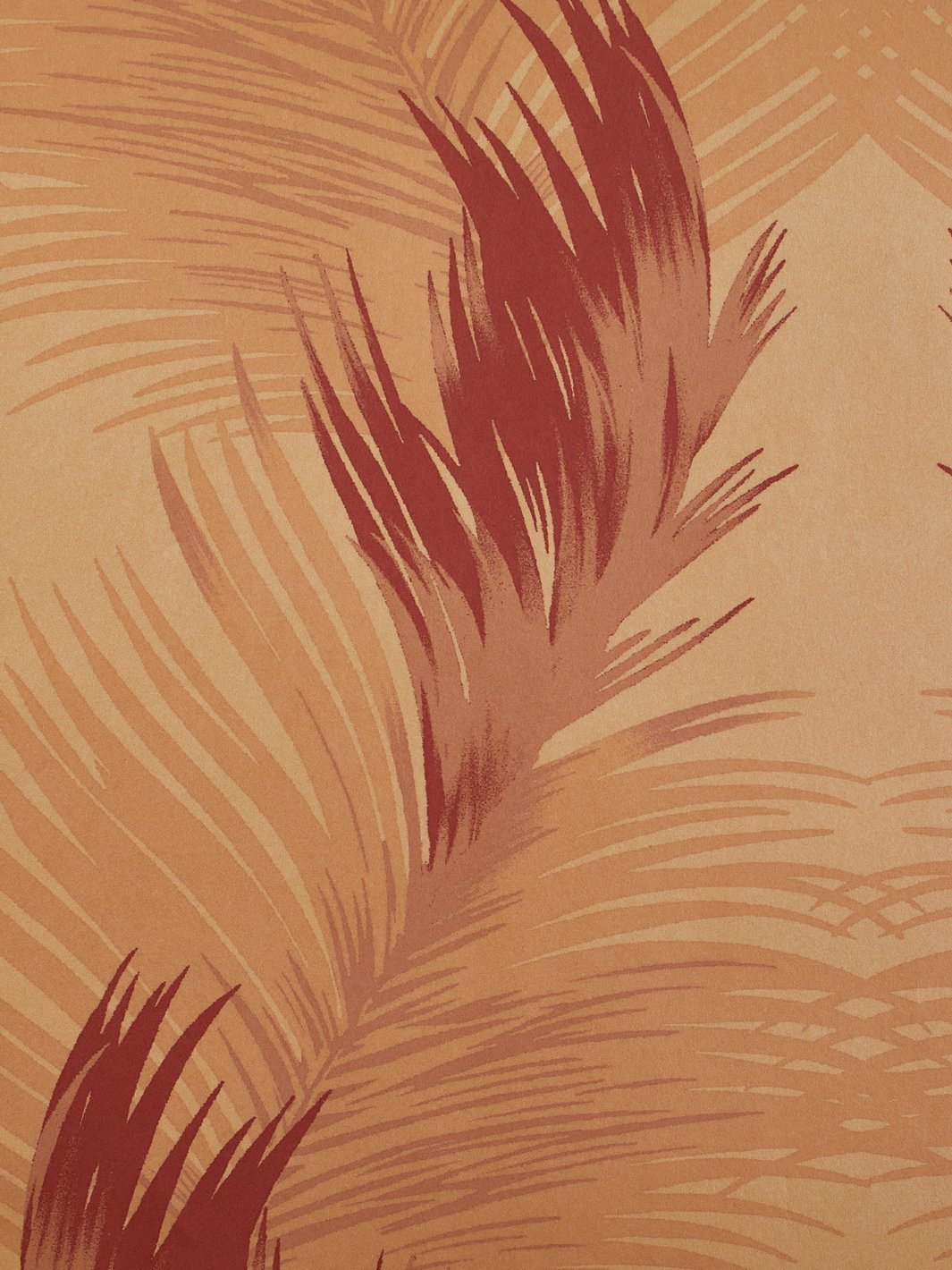 belafonte palm kraft wallpaper by nathan turner flame