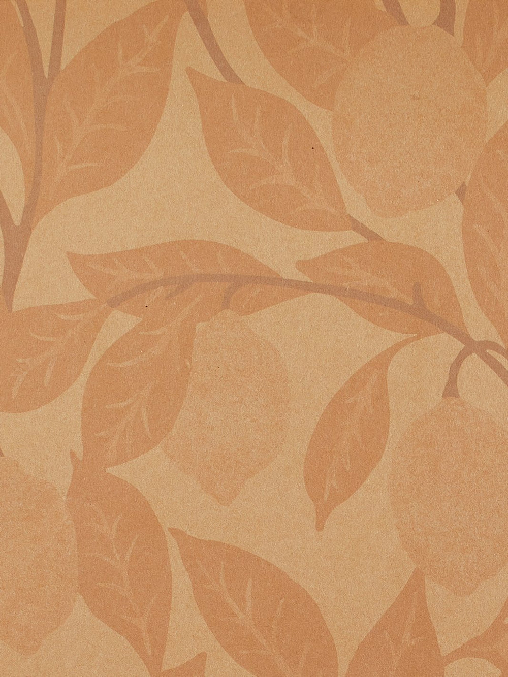 lemons kraft wallpaper by nathan turner blush