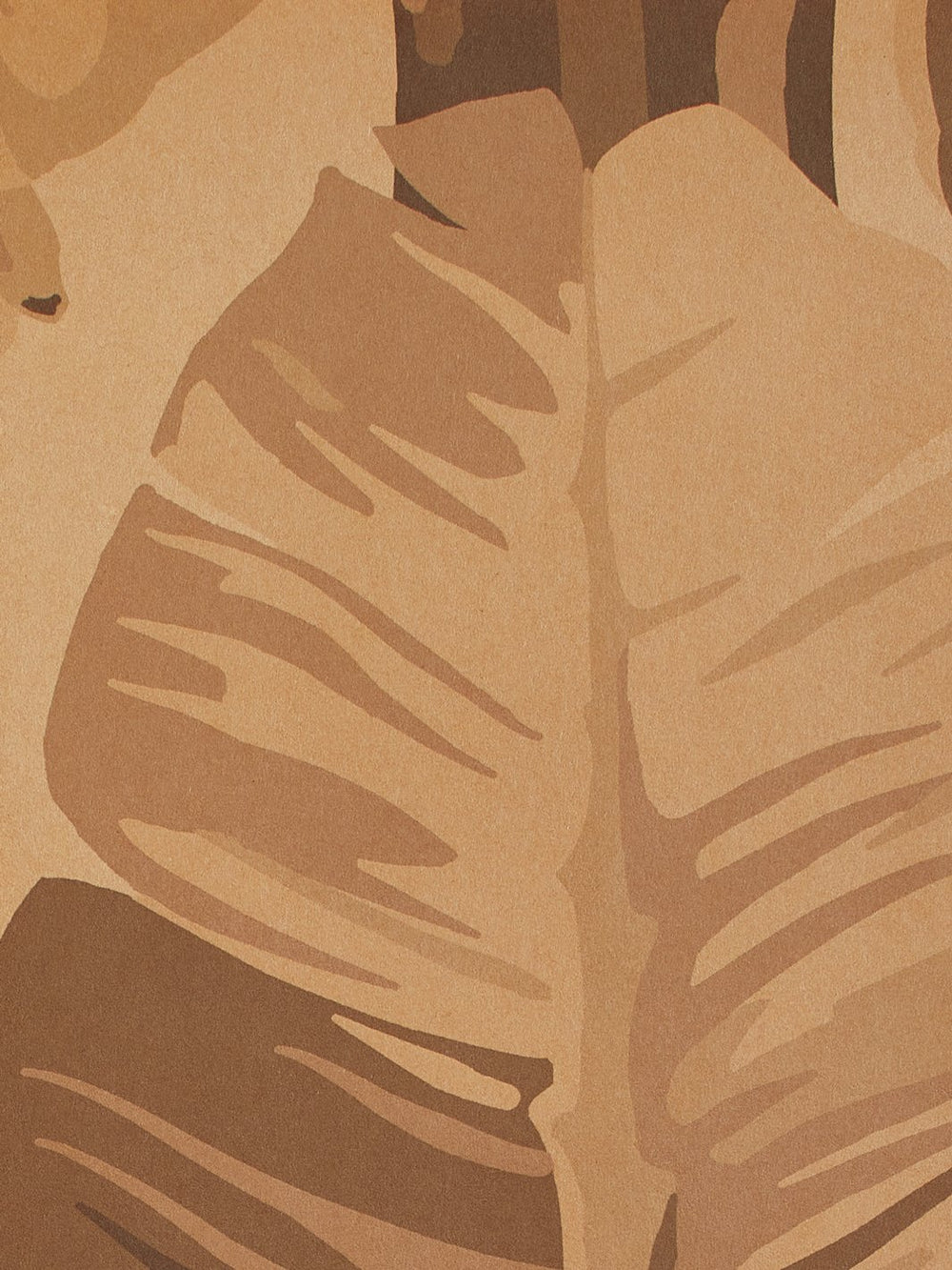 pacifico palm kraft wallpaper by nathan turner cappuccino