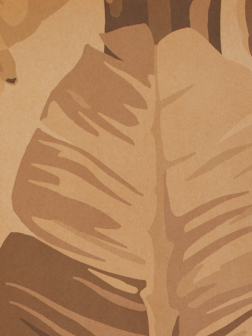 pacifico palm kraft wallpaper by nathan turner cappuccino