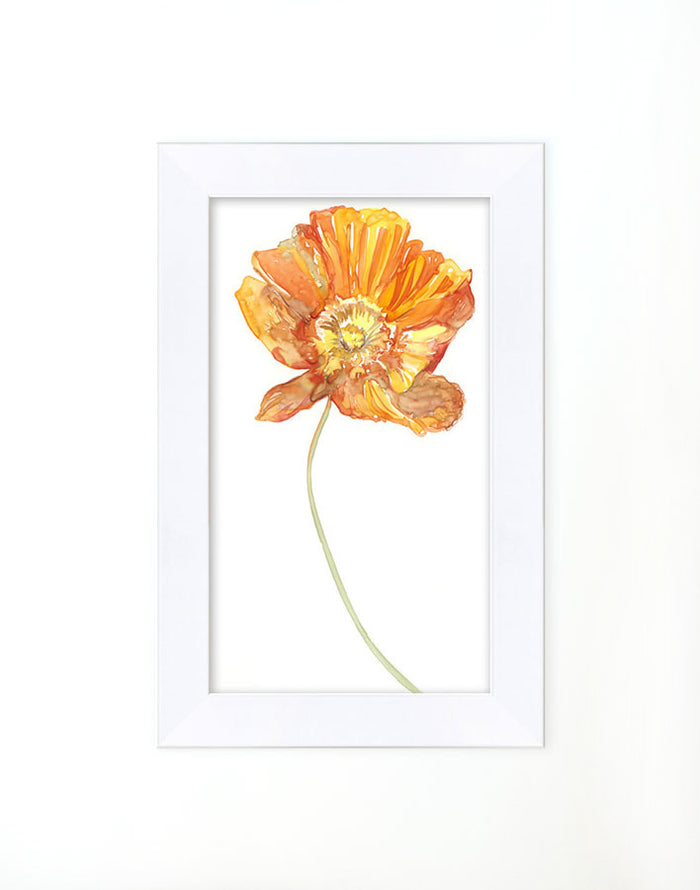 'Watercolor Poppy' Framed Art by Nathan Turner