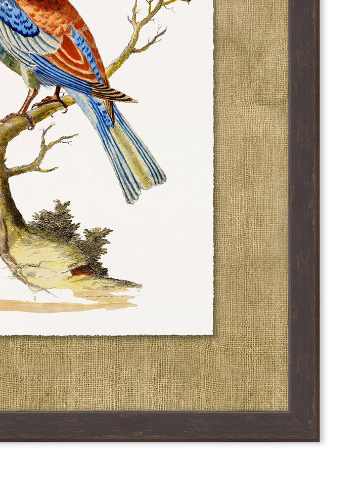 'Woodland Perch 2' by Nathan Turner Framed Art