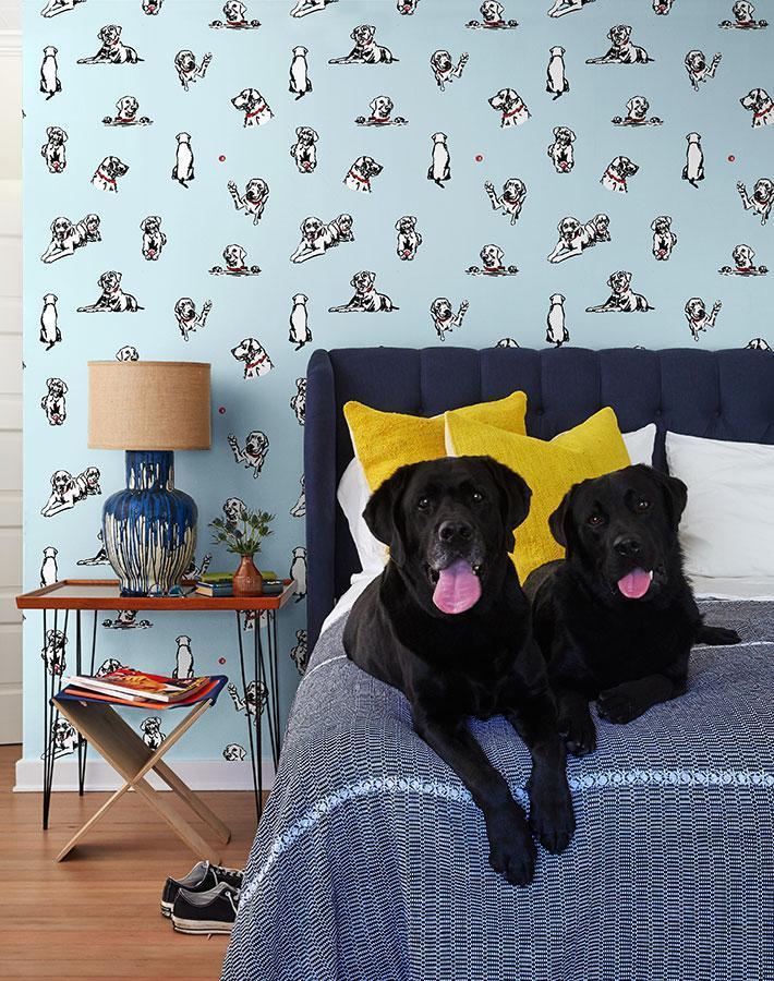 Dog Wallpaper