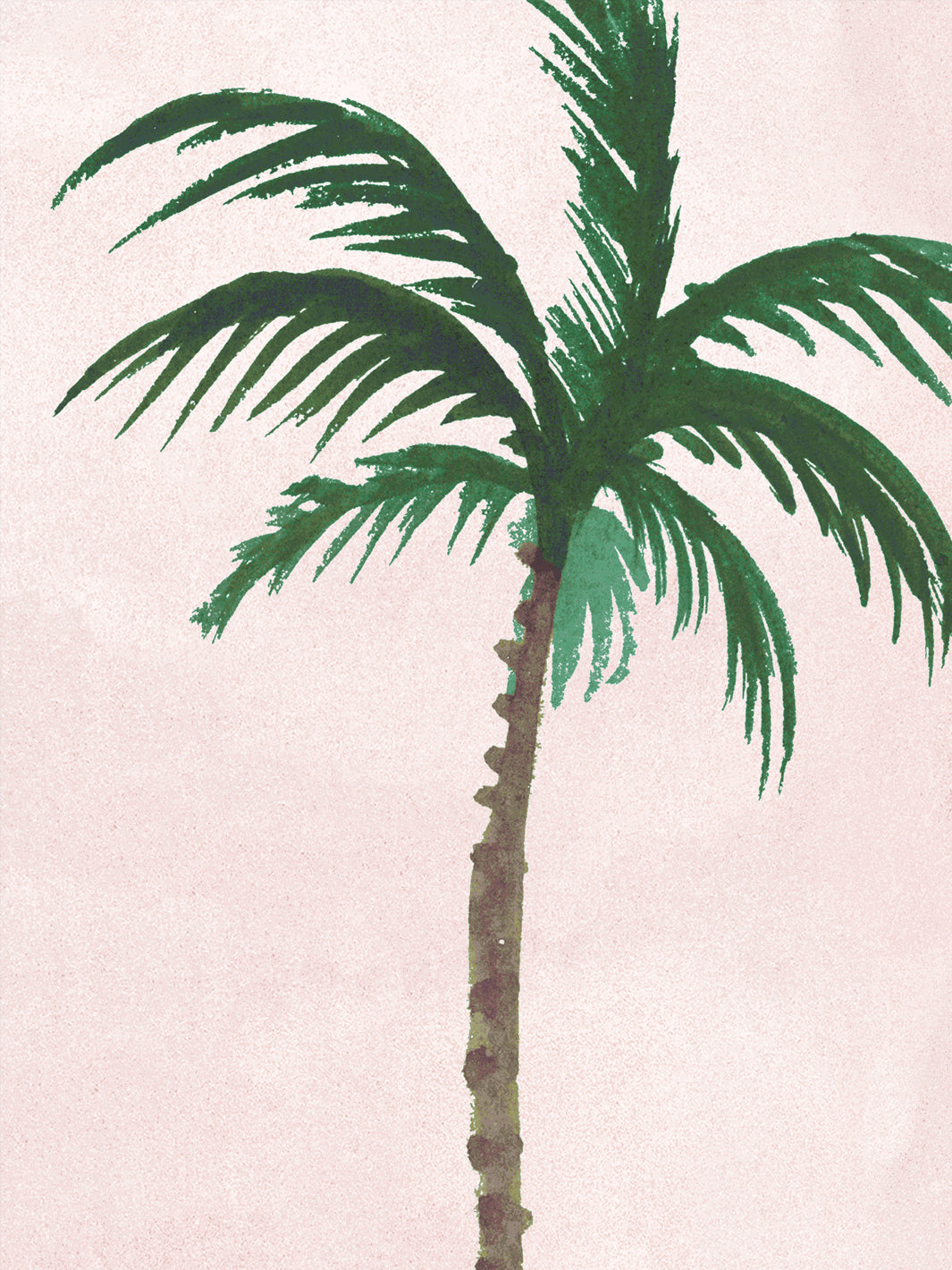 Blush palm tree allover wallpaper with green fronds