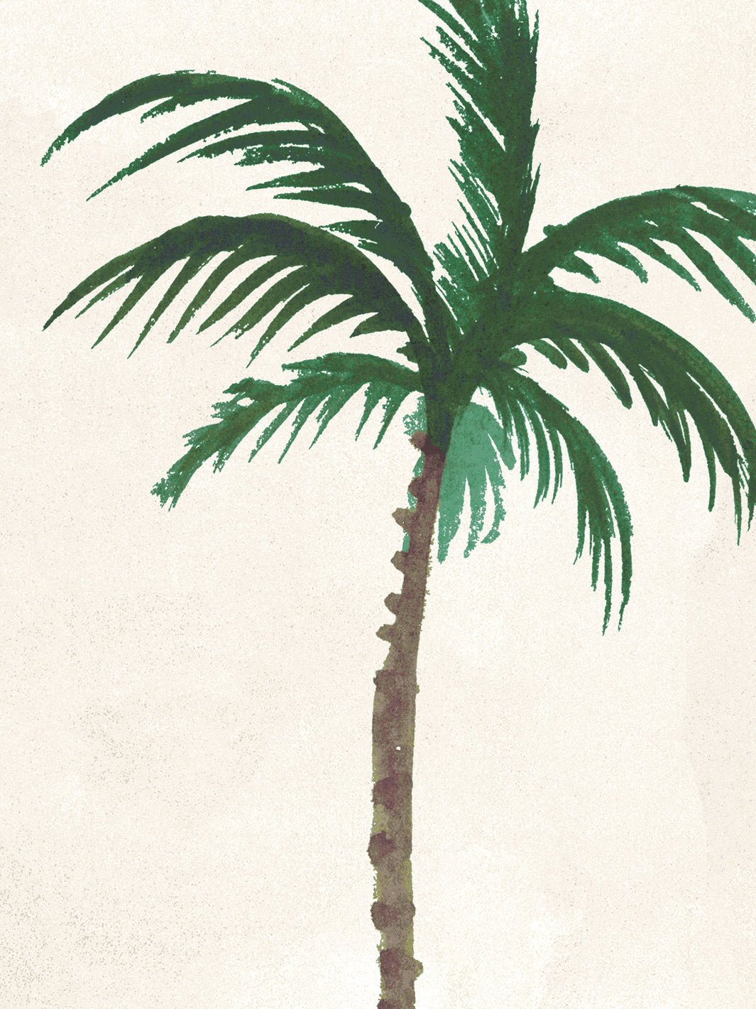 Ivory palm tree wallpaper close-up with green fronds and visible trunk