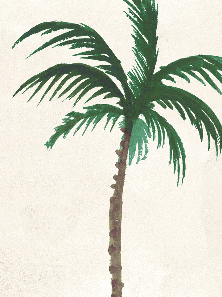 Ivory palm tree wallpaper close-up with green fronds and visible trunk
