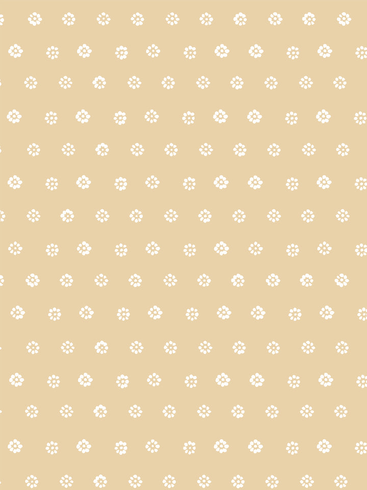 aster-wallpaper-by-sugar-paper-hay