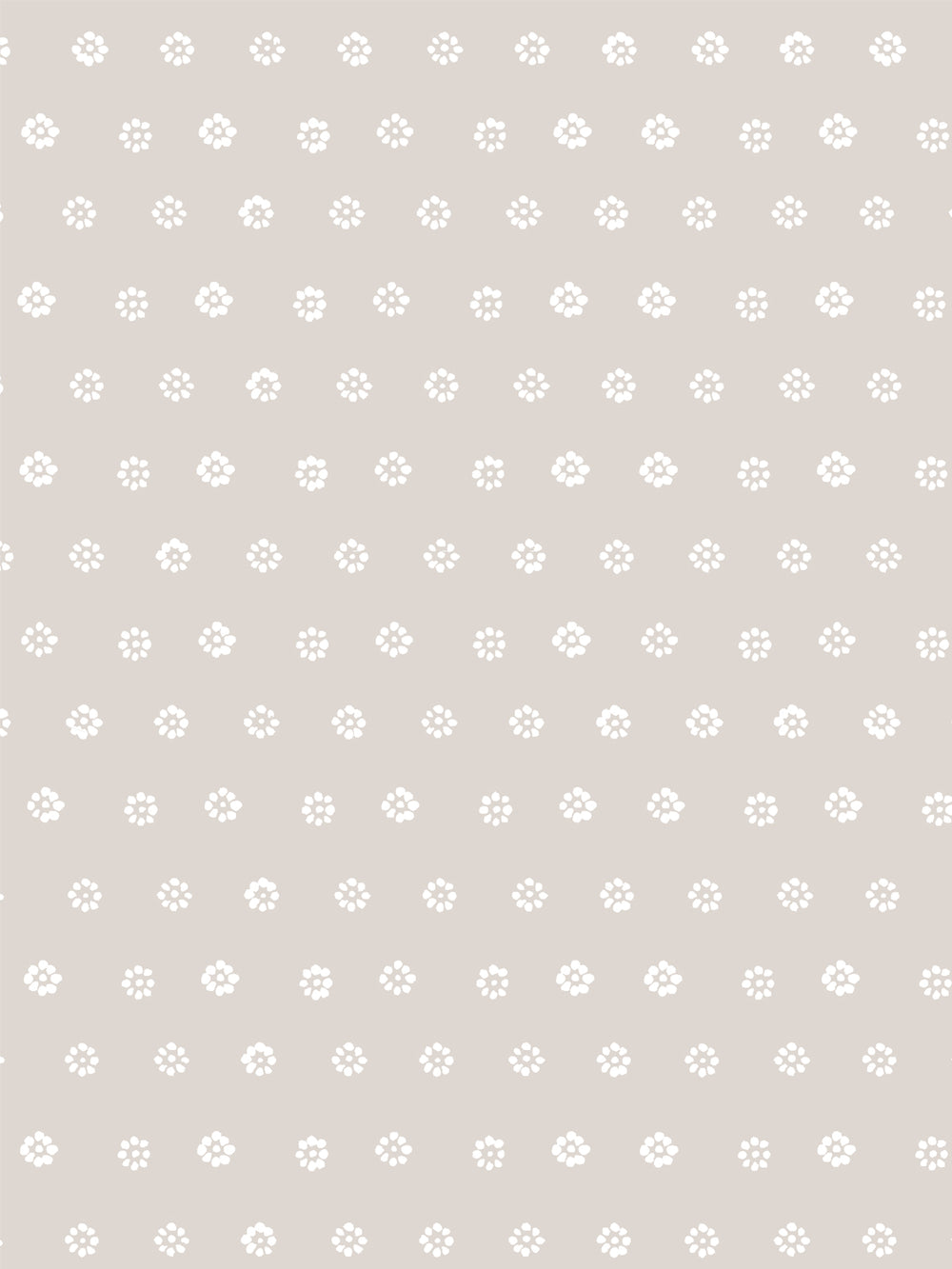 aster-wallpaper-by-sugar-paper-khaki