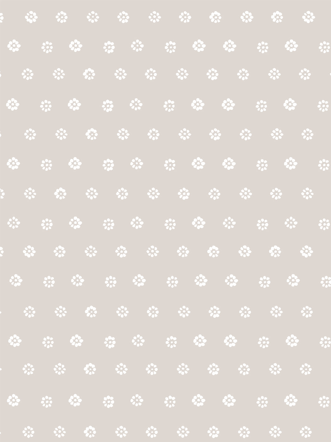 aster-wallpaper-by-sugar-paper-khaki
