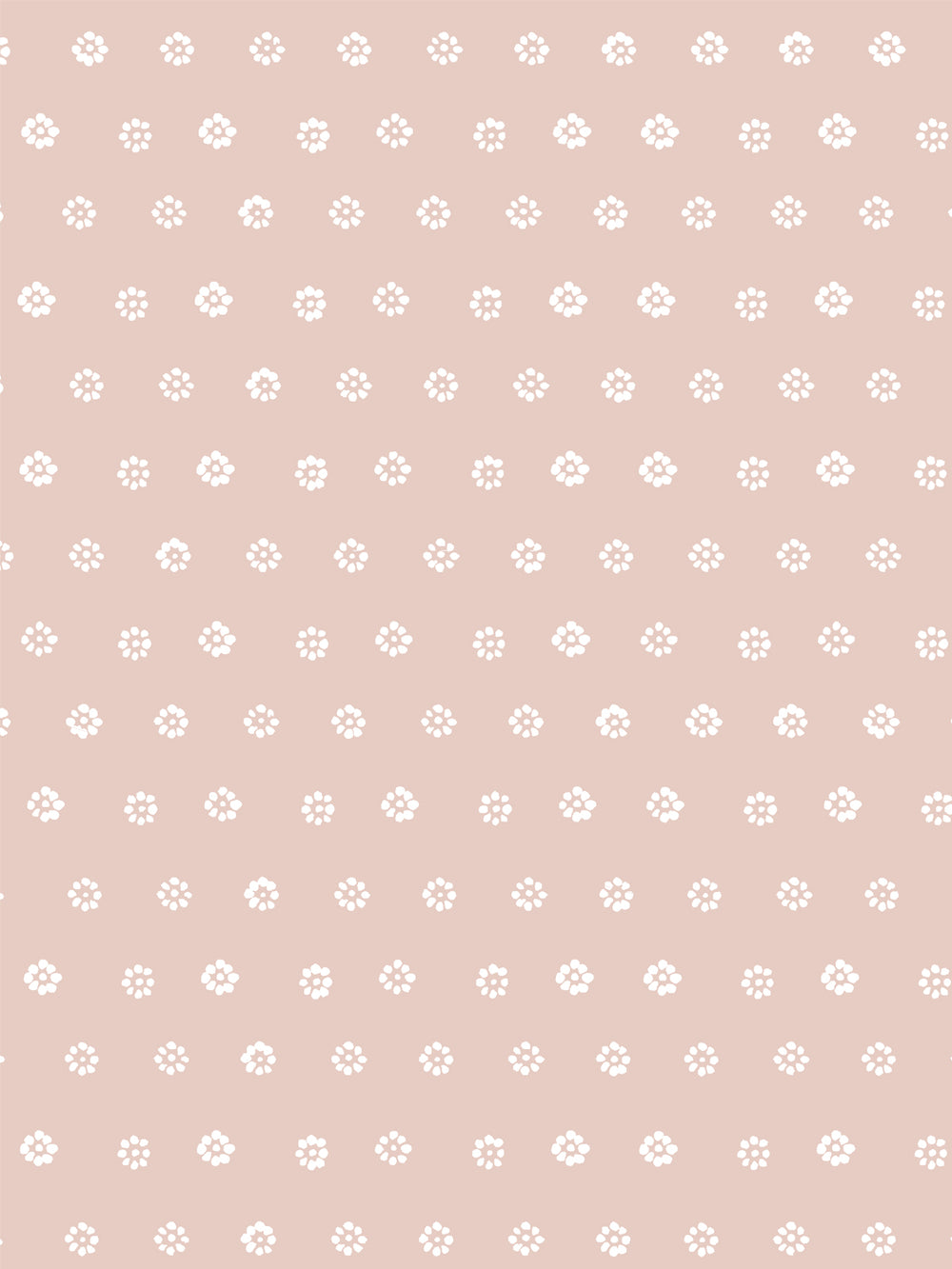 aster-wallpaper-by-sugar-paper-rose