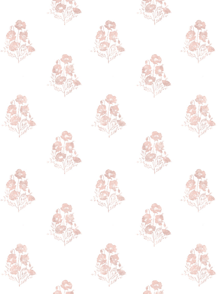 california-poppy-wallpaper-by-nathan-turner-pink