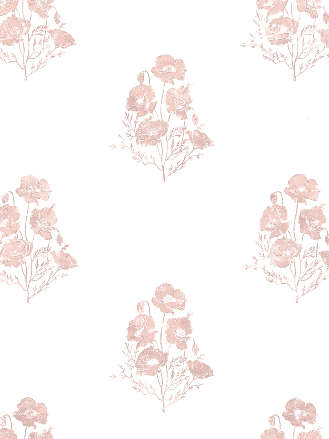 california-poppy-wallpaper-by-nathan-turner-pink