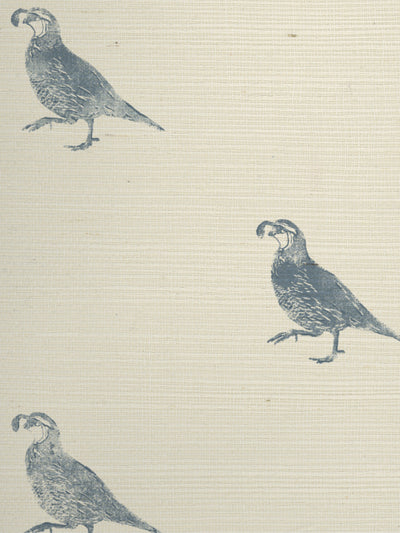 california quail grasscloth wallpaper by nathan turner blue