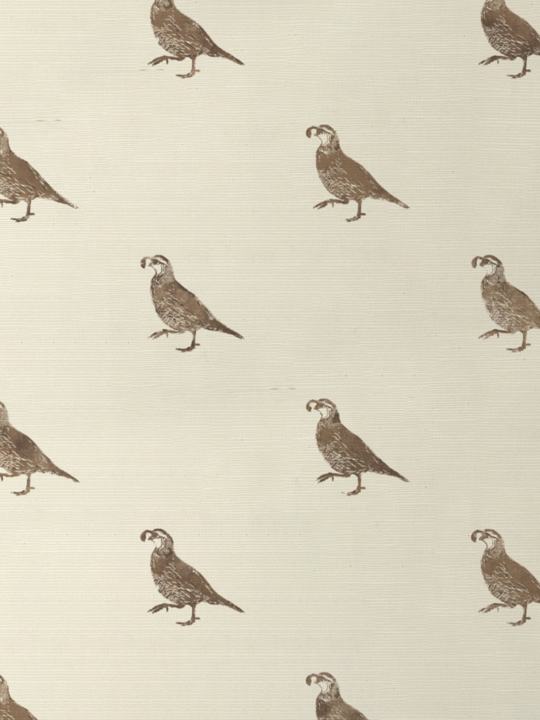 'California Quail' Grasscloth Wallpaper by Nathan Turner - Brown