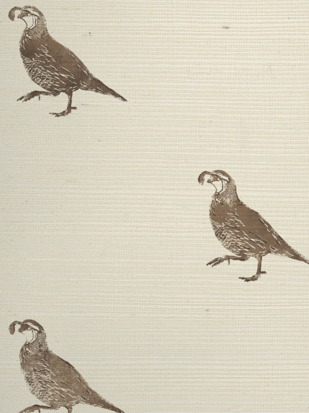california quail grasscloth wallpaper by nathan turner brown