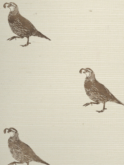 'California Quail' Grasscloth Wallpaper by Nathan Turner - Brown