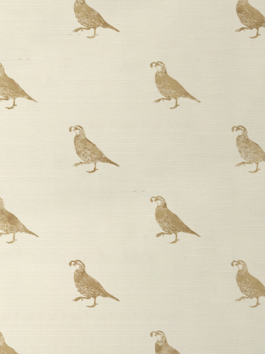 'California Quail' Grasscloth Wallpaper by Nathan Turner - Gold