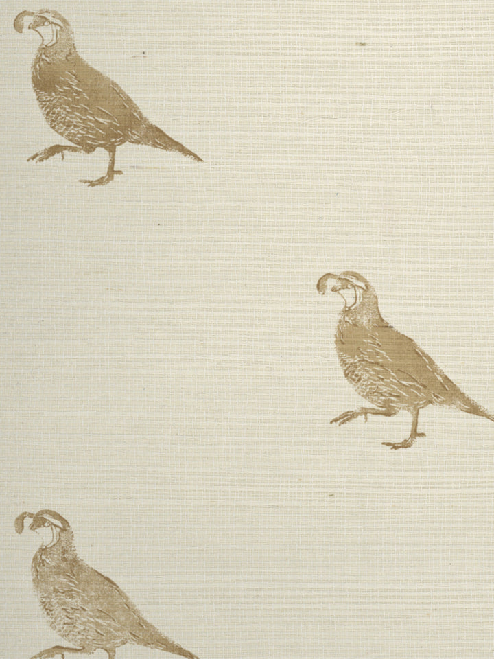 california quail grasscloth wallpaper by nathan turner gold