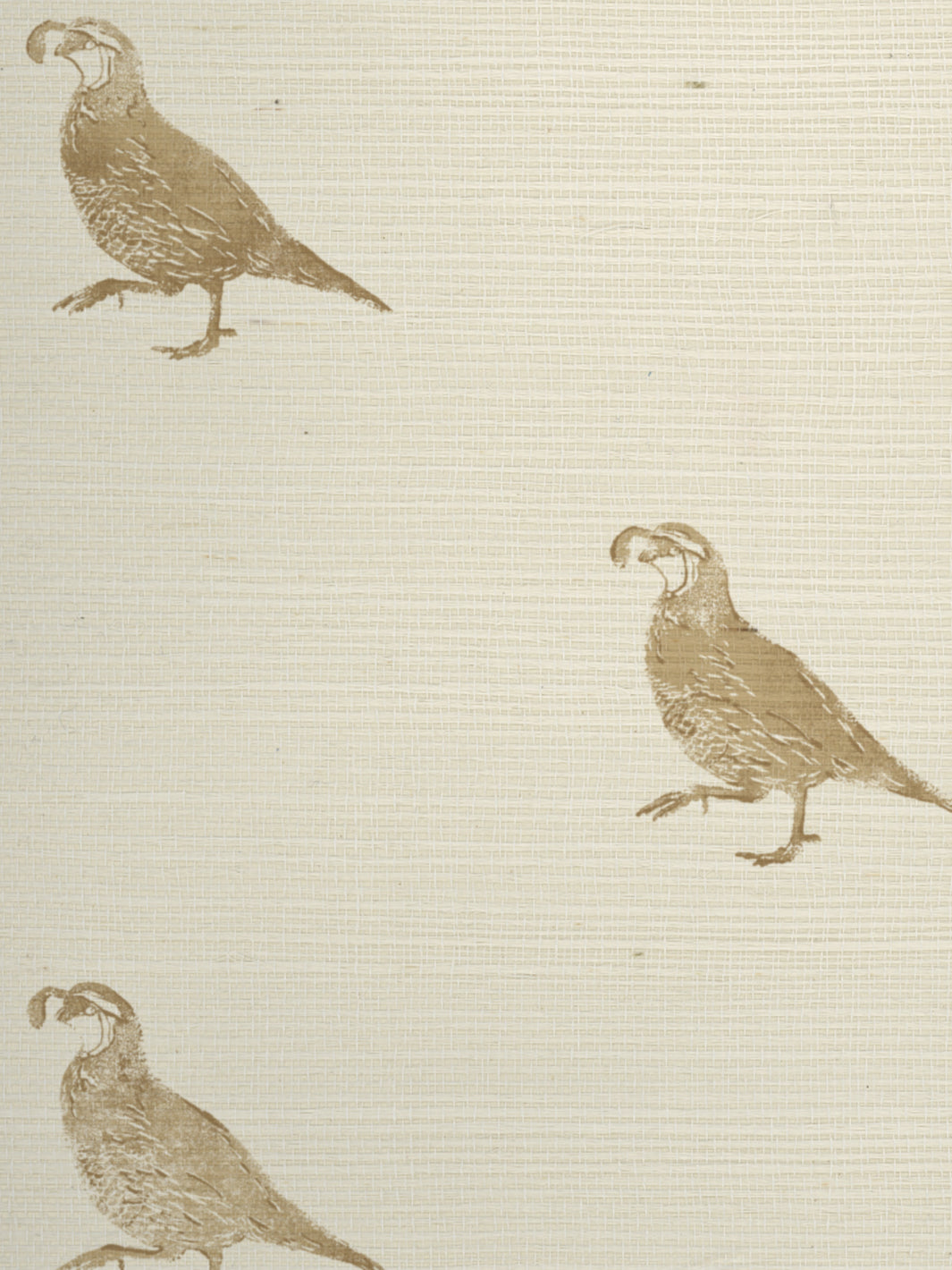 'California Quail' Grasscloth Wallpaper by Nathan Turner - Gold