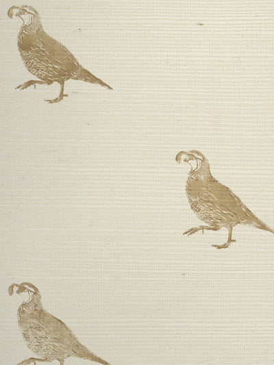california quail grasscloth wallpaper by nathan turner gold