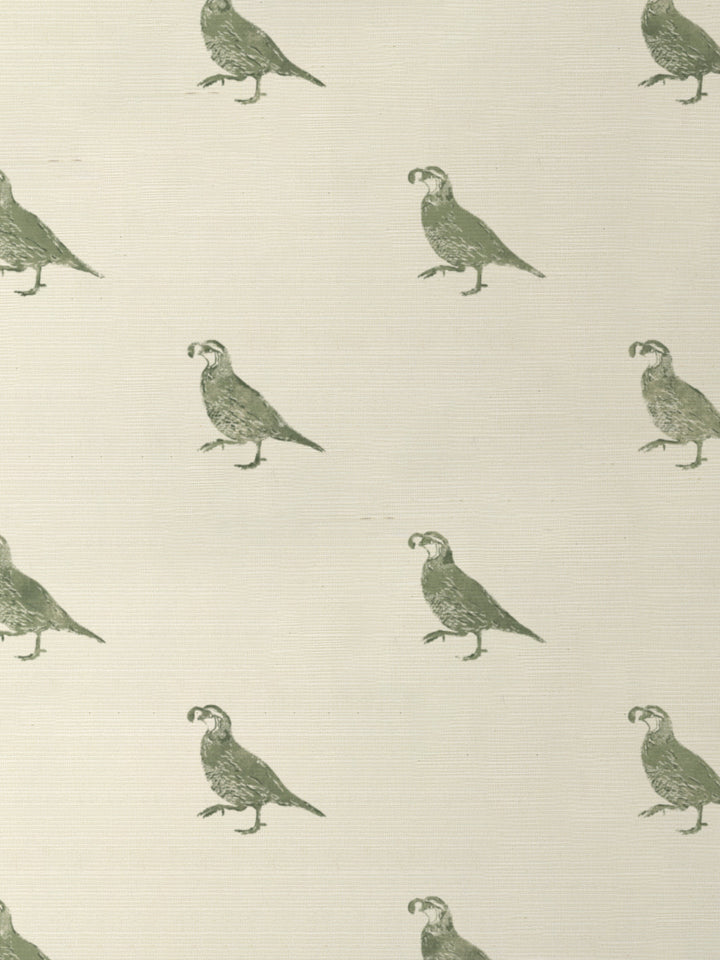 california quail grasscloth wallpaper by nathan turner green