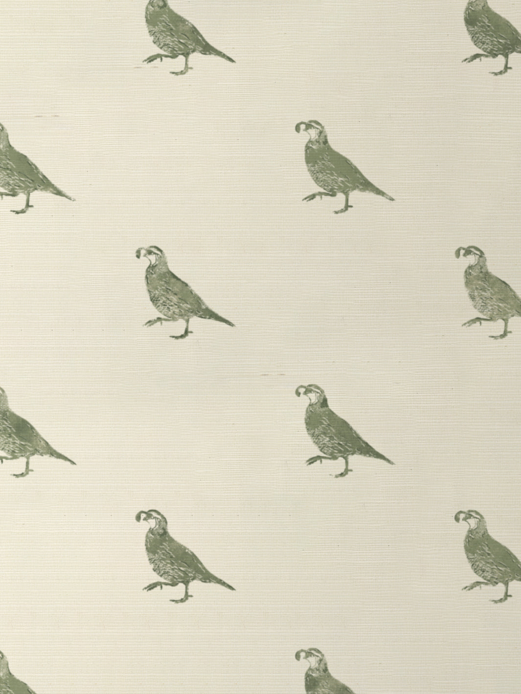 'California Quail' Grasscloth Wallpaper by Nathan Turner - Green