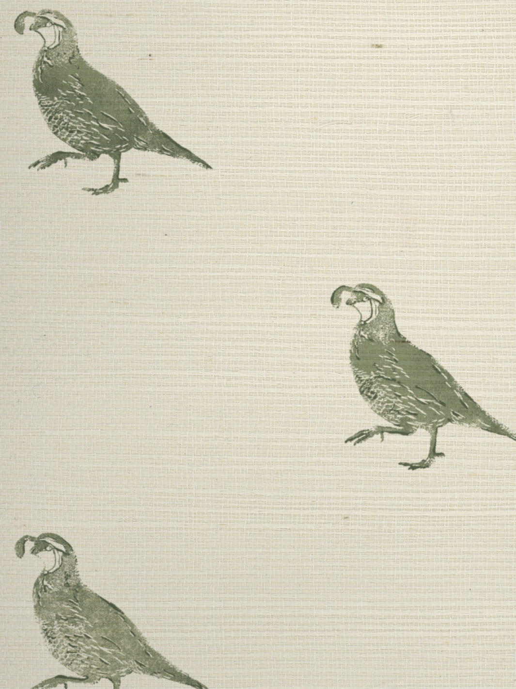 california quail grasscloth wallpaper by nathan turner green