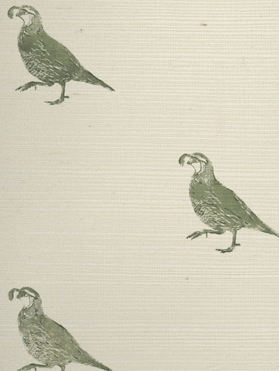 'California Quail' Grasscloth Wallpaper by Nathan Turner - Green