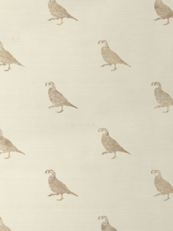 california quail grasscloth wallpaper by nathan turner neutral