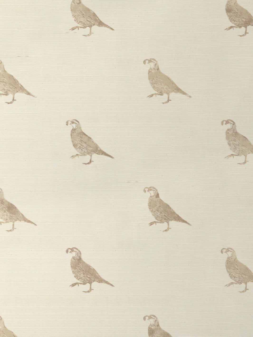 'California Quail' Grasscloth Wallpaper by Nathan Turner - Neutral