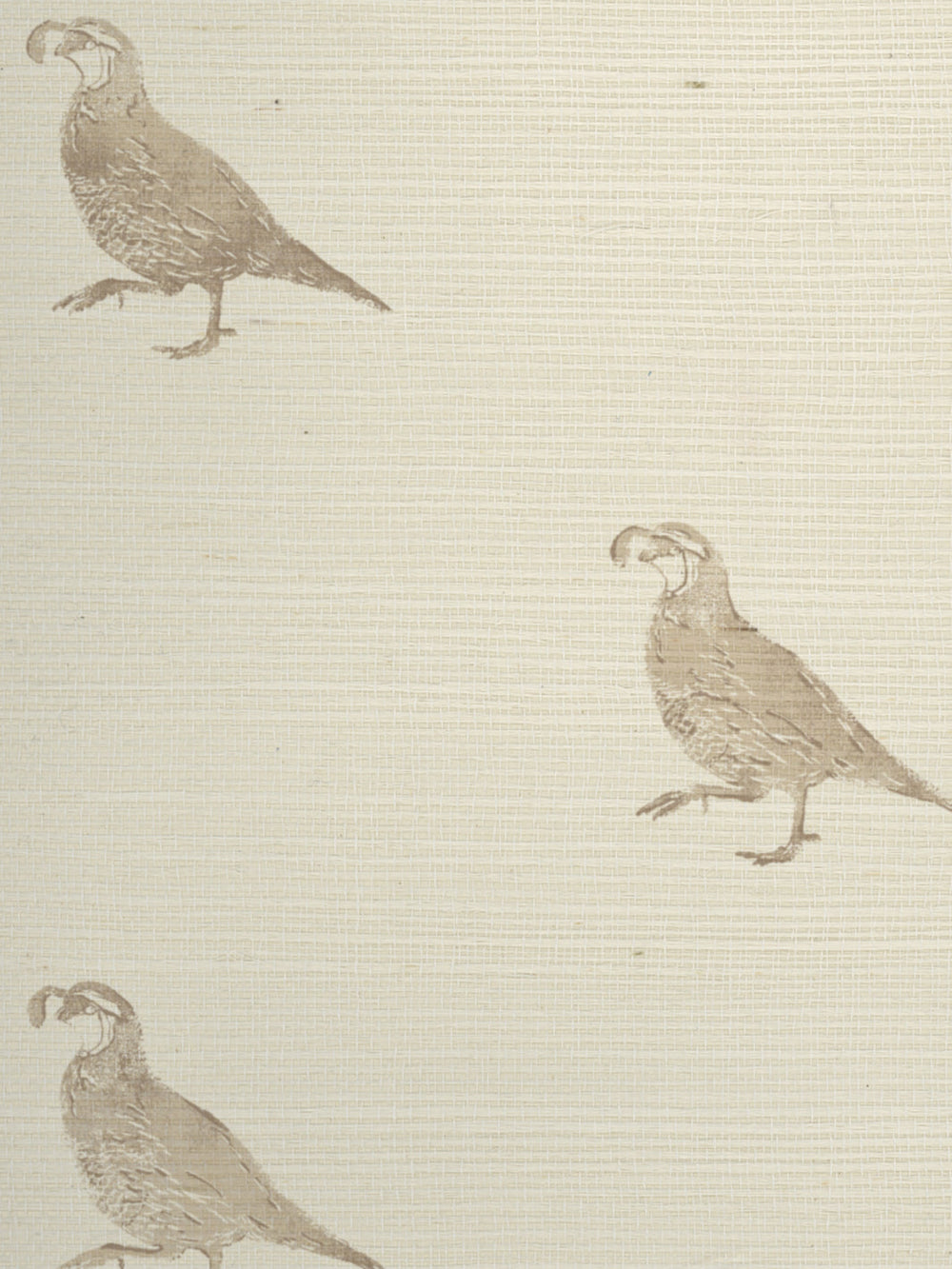 california quail grasscloth wallpaper by nathan turner neutral
