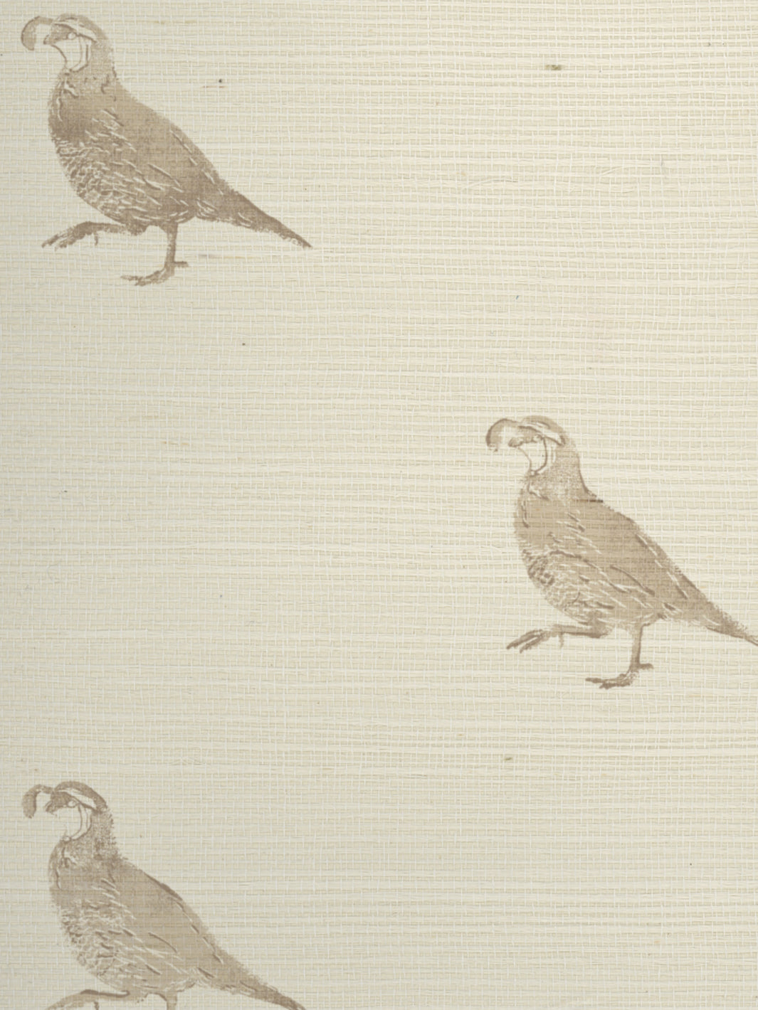 'California Quail' Grasscloth Wallpaper by Nathan Turner - Neutral