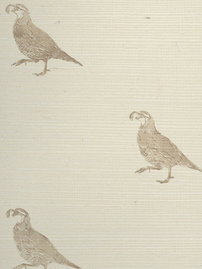 california quail grasscloth wallpaper by nathan turner neutral