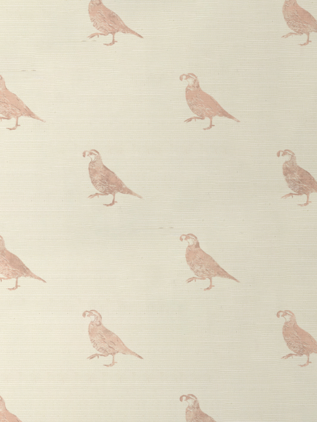 'California Quail' Grasscloth Wallpaper by Nathan Turner - Pink