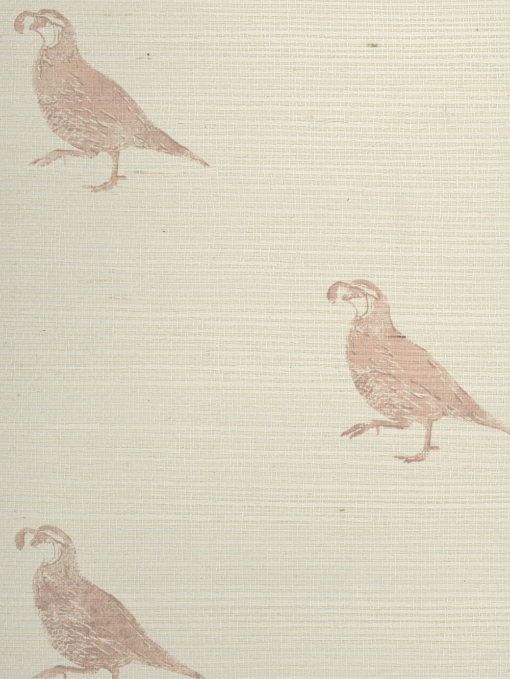 california quail grasscloth wallpaper by nathan turner pink