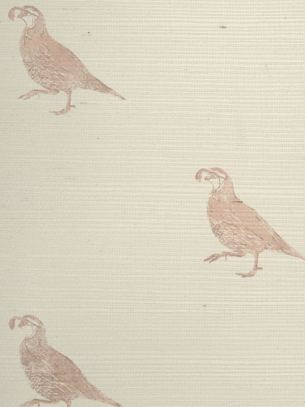 'California Quail' Grasscloth Wallpaper by Nathan Turner - Pink